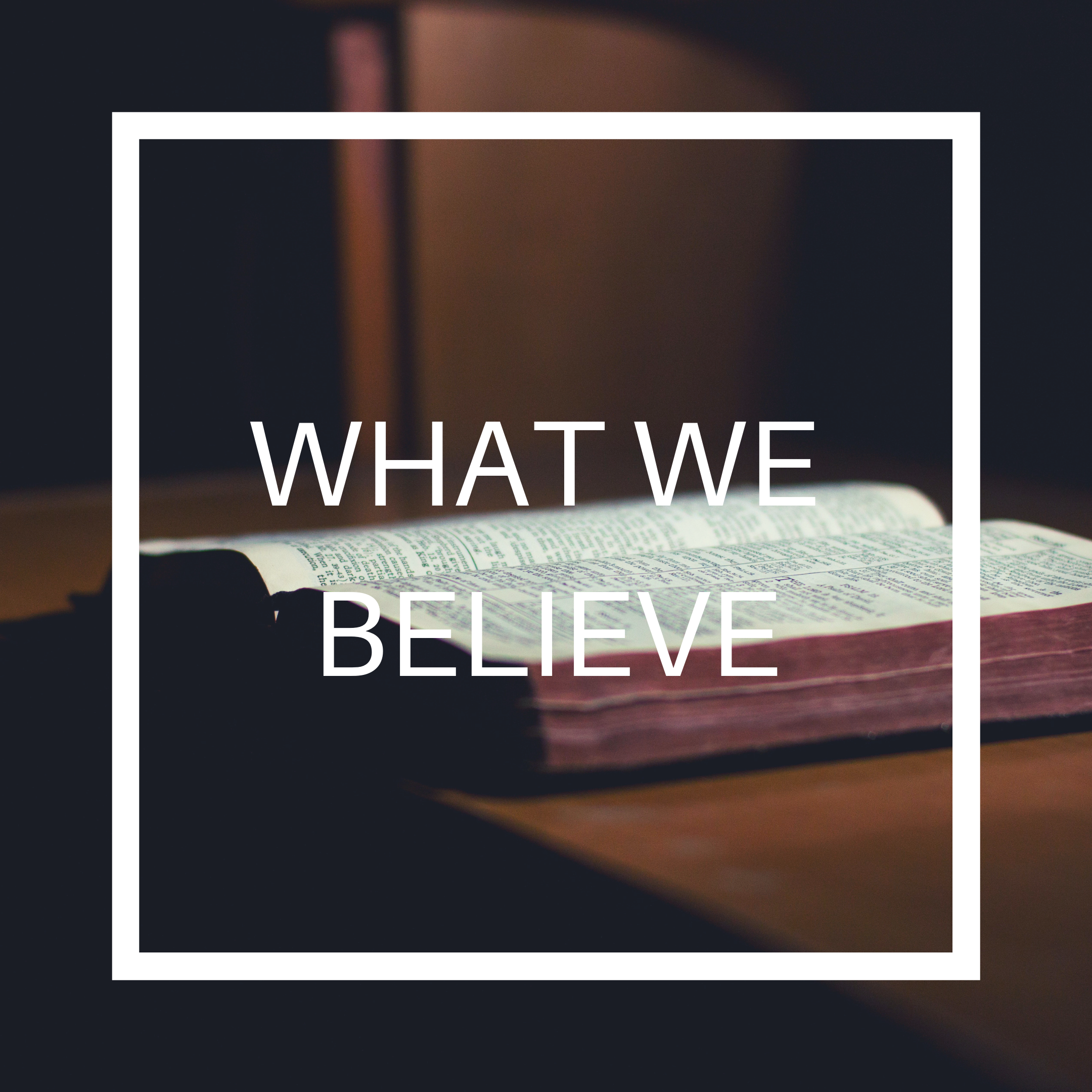 WHAT+WE+BELIEVE+3-1855242329 WHAT+WE+BELIEVE+3-1855242329